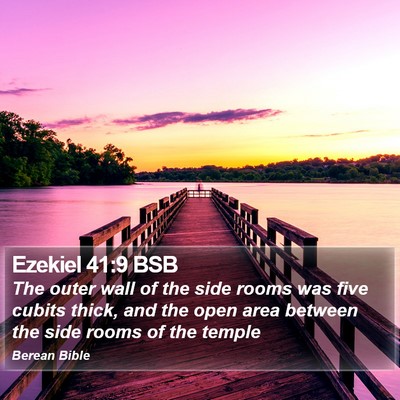 Ezekiel 41:9 BSB Bible Verse Image