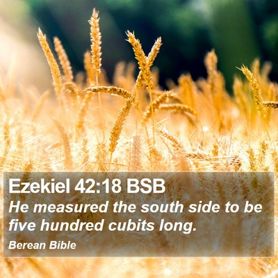 Ezekiel 42:18 BSB Bible Verse Image