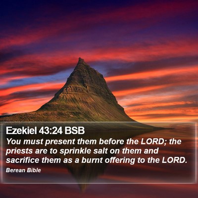 Ezekiel 43:24 BSB Bible Verse Image
