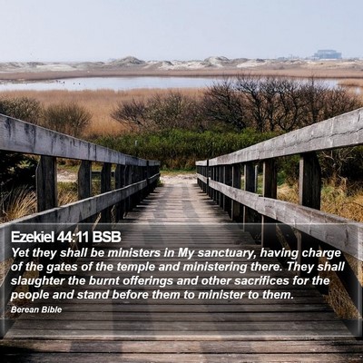 Ezekiel 44:11 BSB Bible Verse Image
