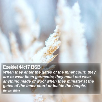 Ezekiel 44:17 BSB Bible Verse Image