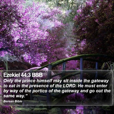 Ezekiel 44:3 BSB Bible Verse Image