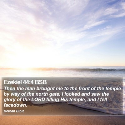 Ezekiel 44:4 BSB Bible Verse Image