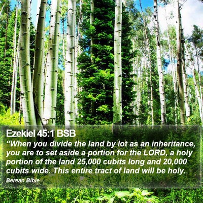 Ezekiel 45:1 BSB Bible Verse Image