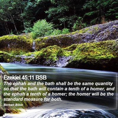 Ezekiel 45:11 BSB Bible Verse Image