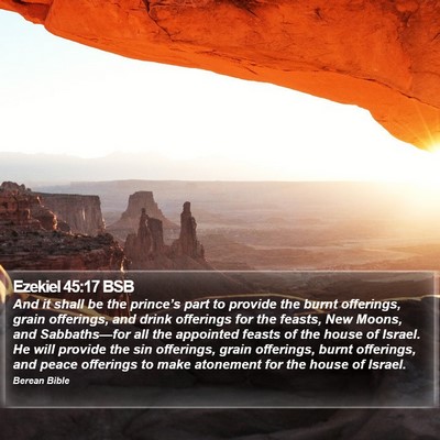 Ezekiel 45:17 BSB Bible Verse Image