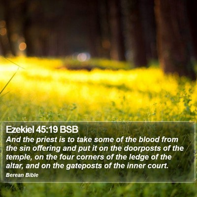 Ezekiel 45:19 BSB Bible Verse Image