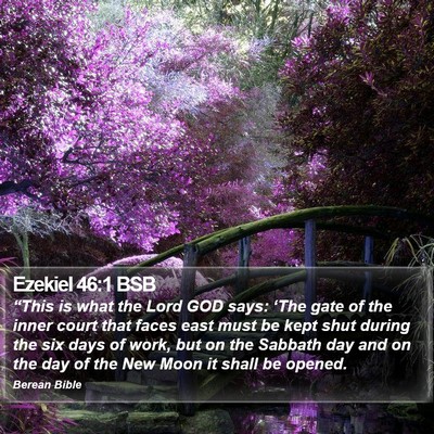 Ezekiel 46:1 BSB Bible Verse Image