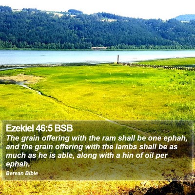 Ezekiel 46:5 BSB Bible Verse Image