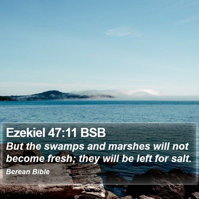 Ezekiel 47:11 BSB Bible Verse Image