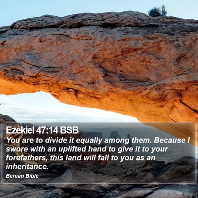 Ezekiel 47:14 BSB Bible Verse Image