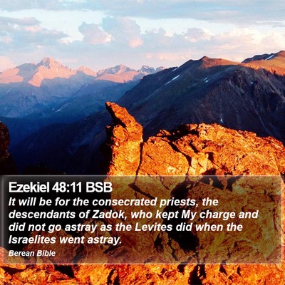 Ezekiel 48:11 BSB Bible Verse Image