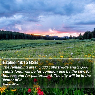Ezekiel 48:15 BSB Bible Verse Image