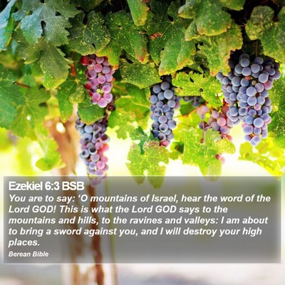 Ezekiel 6:3 BSB Bible Verse Image