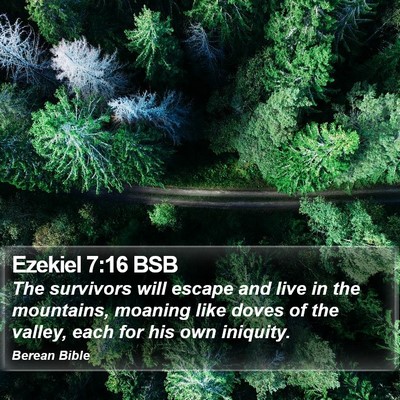 Ezekiel 7:16 BSB Bible Verse Image