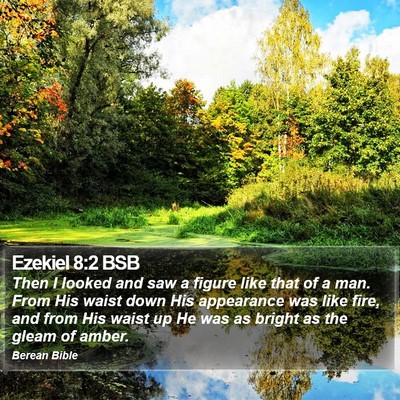 Ezekiel 8:2 BSB Bible Verse Image