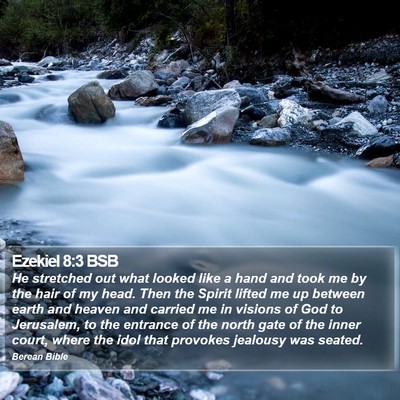 Ezekiel 8:3 BSB Bible Verse Image