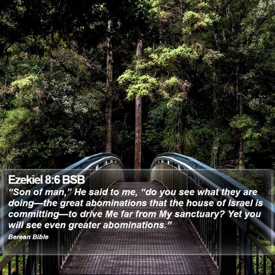 Ezekiel 8:6 BSB Bible Verse Image