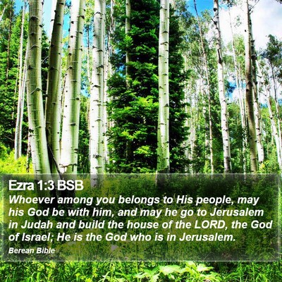 Ezra 1:3 BSB Bible Verse Image