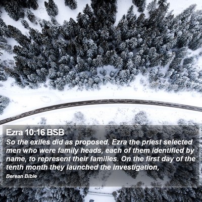 Ezra 10:16 BSB Bible Verse Image