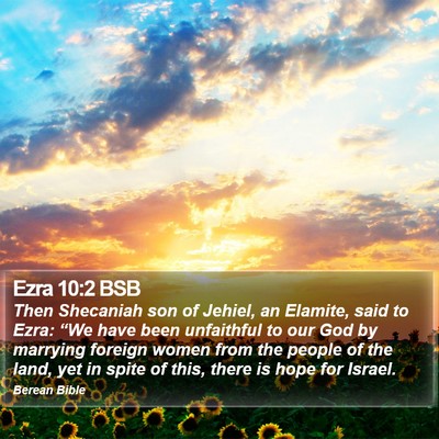 Ezra 10:2 BSB Bible Verse Image