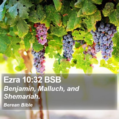 Ezra 10:32 BSB Bible Verse Image