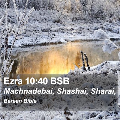 Ezra 10:40 BSB Bible Verse Image