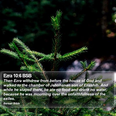 Ezra 10:6 BSB Bible Verse Image
