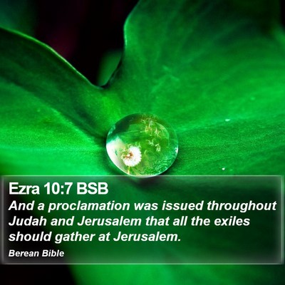 Ezra 10:7 BSB Bible Verse Image