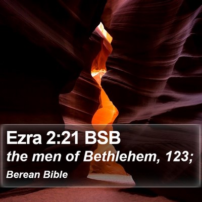 Ezra 2:21 BSB Bible Verse Image