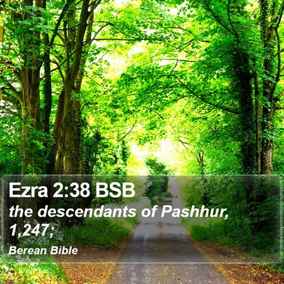 Ezra 2:38 BSB Bible Verse Image
