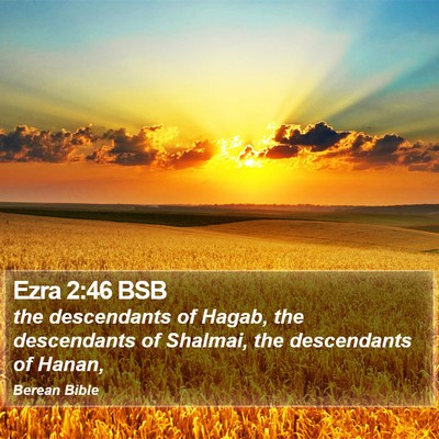 Ezra 2:46 BSB Bible Verse Image