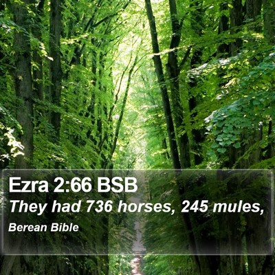 Ezra 2:66 BSB Bible Verse Image