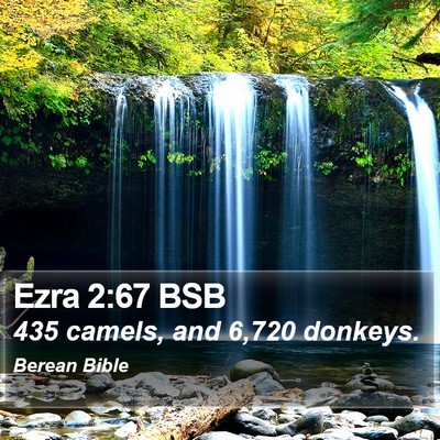 Ezra 2:67 BSB Bible Verse Image