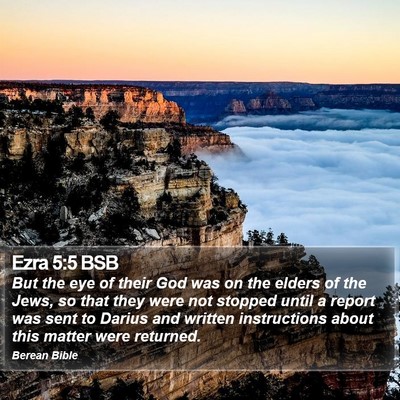 Ezra 5:5 BSB Bible Verse Image