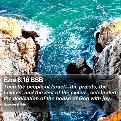 Ezra 6:16 BSB Bible Verse Image