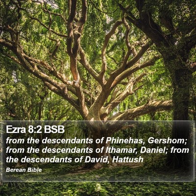 Ezra 8:2 BSB Bible Verse Image