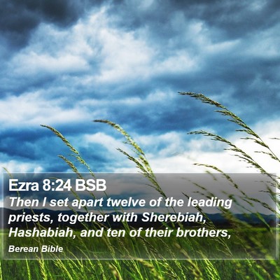 Ezra 8:24 BSB Bible Verse Image