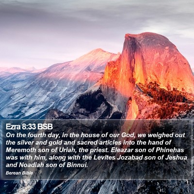Ezra 8:33 BSB Bible Verse Image