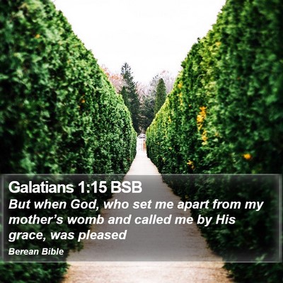 Galatians 1:15 BSB Bible Verse Image