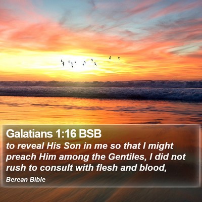 Galatians 1:16 BSB Bible Verse Image