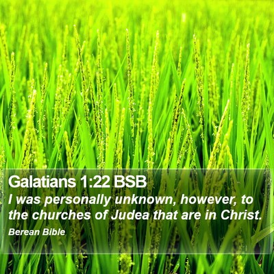 Galatians 1:22 BSB Bible Verse Image