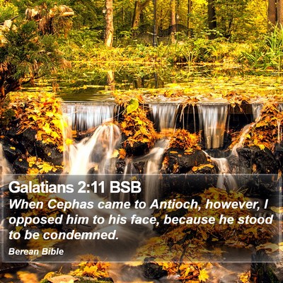 Galatians 2:11 BSB Bible Verse Image