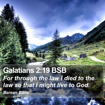 Galatians 2:19 BSB Bible Verse Image