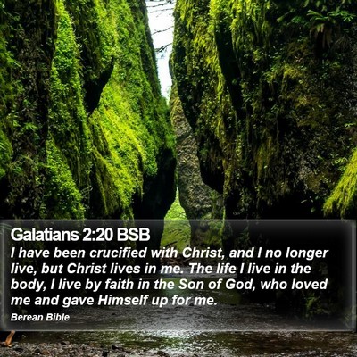 Galatians 2:20 BSB Bible Verse Image