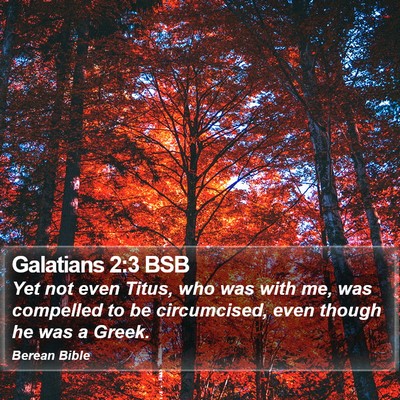 Galatians 2:3 BSB Bible Verse Image