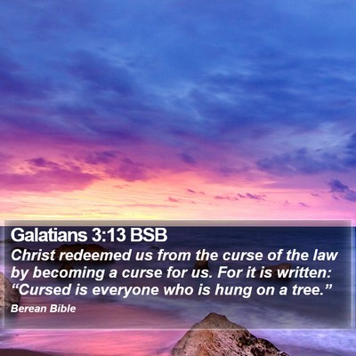 Galatians 3:13 BSB Bible Verse Image