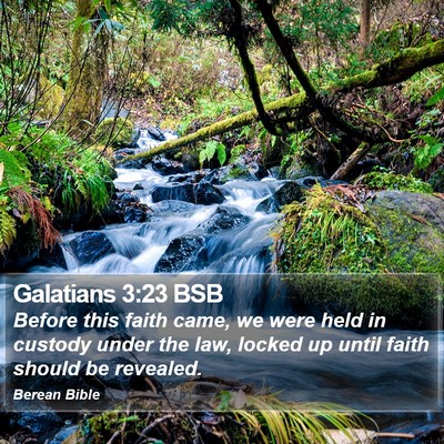Galatians 3:23 BSB Bible Verse Image