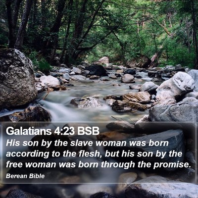 Galatians 4:23 BSB Bible Verse Image