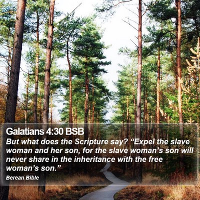 Galatians 4:30 BSB Bible Verse Image